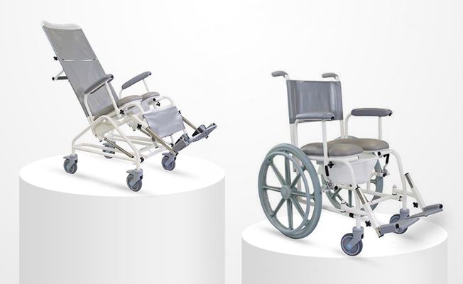 Health & Mobility Sector